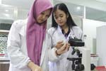 Programreguler Nomor 6